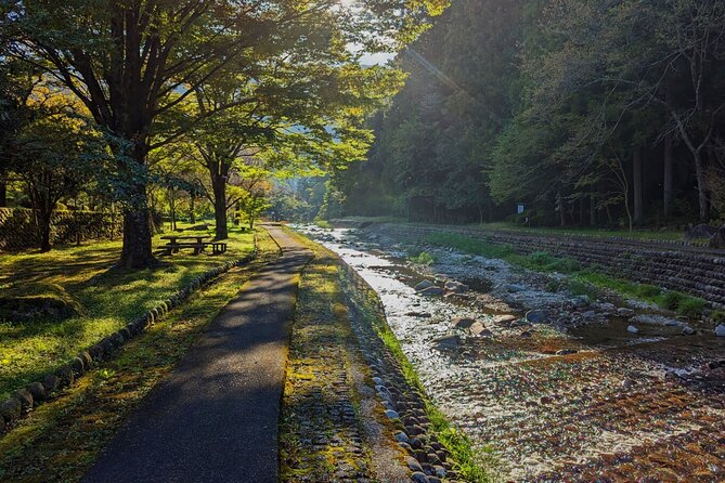 1-Day Tour from Takayama: Unveiling the Charm of Gero Onsen - The train from Takayama to Gero