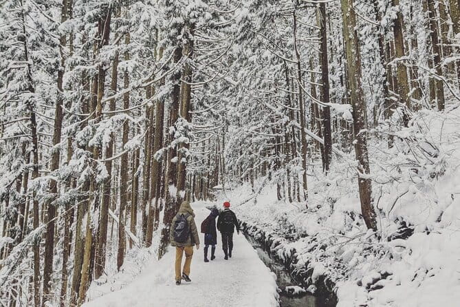 1-Day Winter Tour From Nozawa Onsen: Snow Monkeys, Zenko-ji Temple & Sake - Reaching Jigokudani Snow Monkey Park