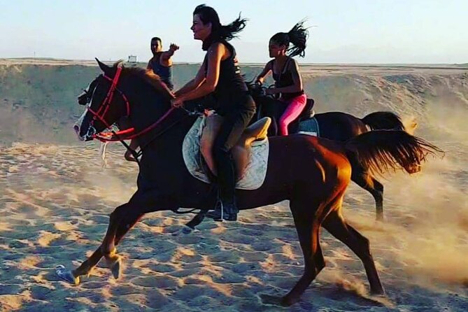 1 Hour Turkish Bath & 1 Hour Horseback Riding - Sharm El Sheikh - The One-Hour Horse Ride
