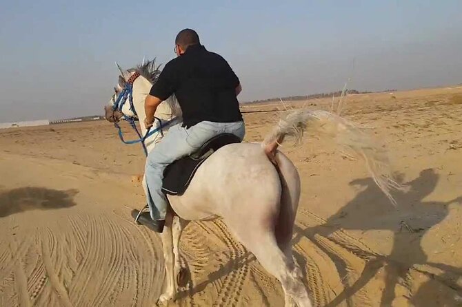 1 Hour Turkish Bath & 1 Hour Horseback Riding - Sharm El Sheikh - Who Will Enjoy This Most