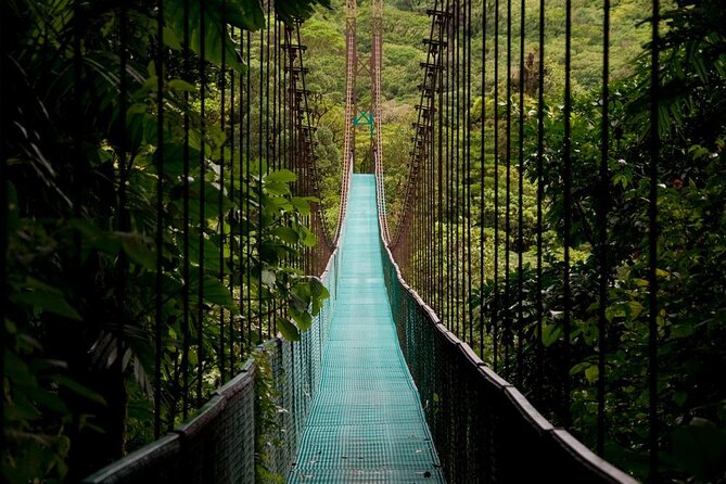 3 in 1 Combo: La Fortuna Waterfall, Hanging Bridges, Thermal Spa from San José - Key points at a glance