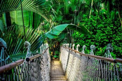 3 in 1 Combo: La Fortuna Waterfall, Hanging Bridges, Thermal Spa from San José