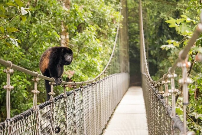 3 in 1 Combo: La Fortuna Waterfall, Hanging Bridges, Thermal Spa from San José - Los Lagos pools, slides, and the Arenal view