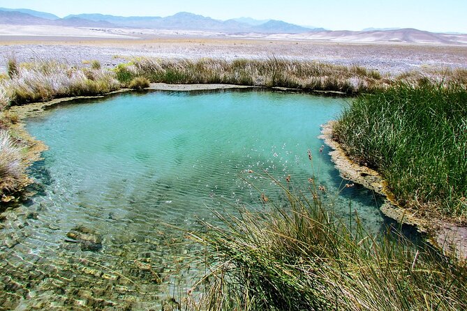 4-Hour Private Hidden Hot Springs Tour near Death Valley - Who will enjoy this Tecopa evening?