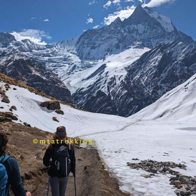 5-Day Annapurna Base Camp Trek with Natural Hot Springs - Day 4: Sunrise at base camp, then down to Bamboo