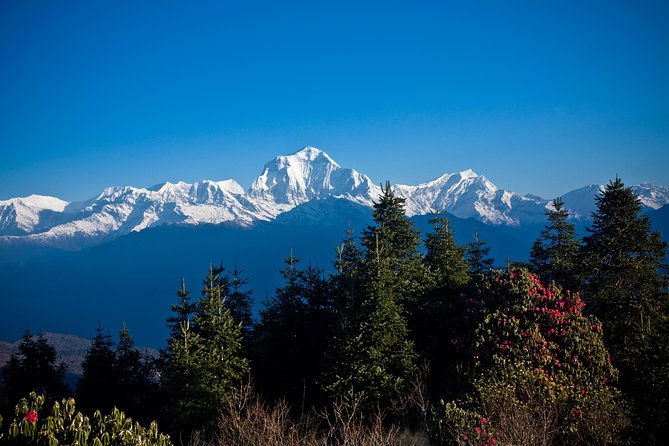 7 Days Annapurna Base Camp Trek from Pokhara with Hot Spring - Through the Modi Khola valley to Deurali