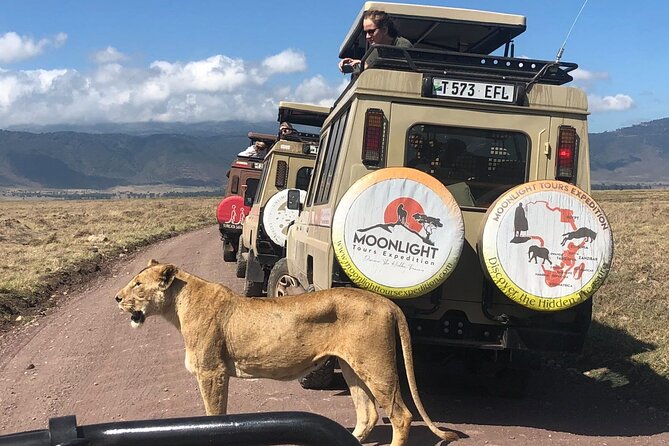 7Day Serengeti Migration (Ndutu), Crater, Hot Springs & City Tour - Why Ndutu deserves two full days