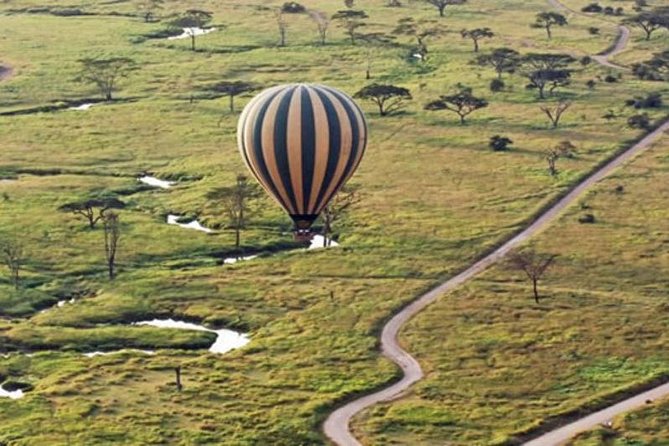 7Day Serengeti Migration (Ndutu), Crater, Hot Springs & City Tour - Tarangire offers elephants and baobabs