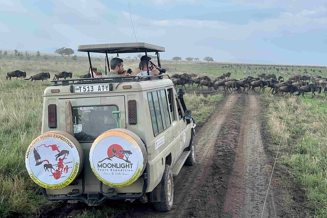 7Day Serengeti Migration (Ndutu), Crater, Hot Springs & City Tour - The private vehicle makes a real difference