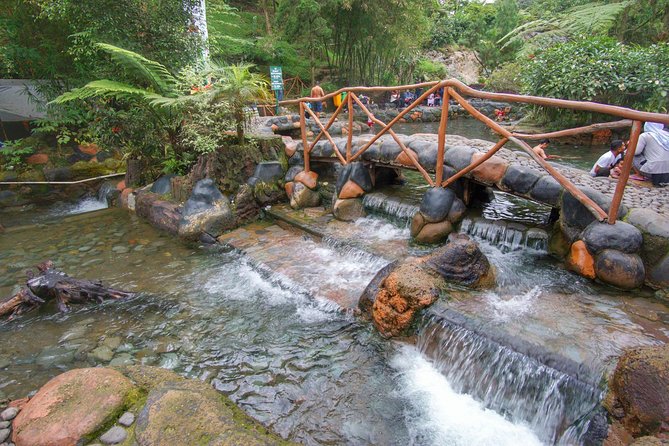 Active Volcano, Rice Field, Hot Spring, Fruit market, Tea Plantation with Lunch - Tea fields above the volcanic region