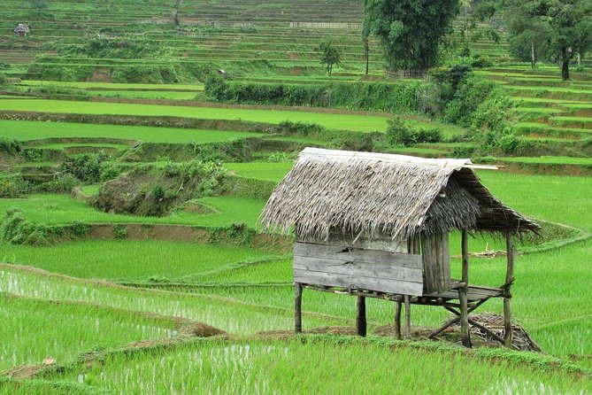 Active Volcano, Rice Field, Hot Spring, Fruit market, Tea Plantation with Lunch - What the $110 price really covers