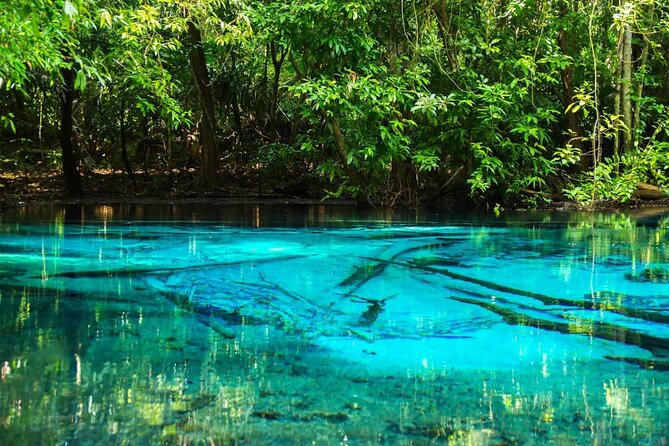 All day Krabi Jungle Tour (Hot Spring Water, Emerald Pool, Tiger Cave Temple) - What this Krabi jungle tour actually covers