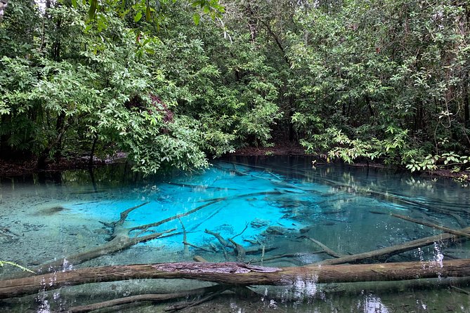 All day Krabi Jungle Tour (Hot Spring Water, Emerald Pool, Tiger Cave Temple) - Who will get the most from this tour?