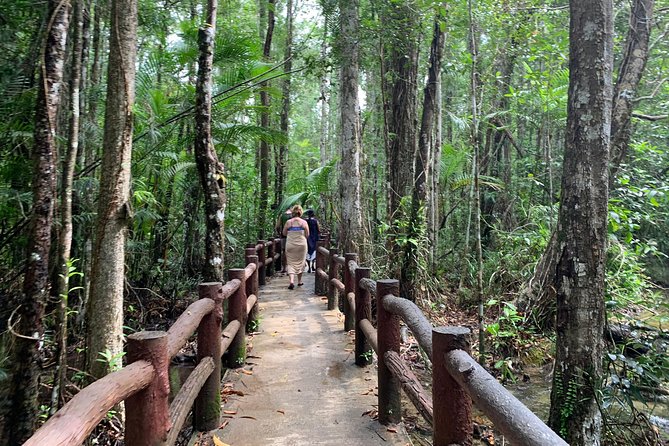 All day Krabi Jungle Tour (Hot Spring Water, Emerald Pool, Tiger Cave Temple) - The rainforest path to Emerald Pool and Blue Pool