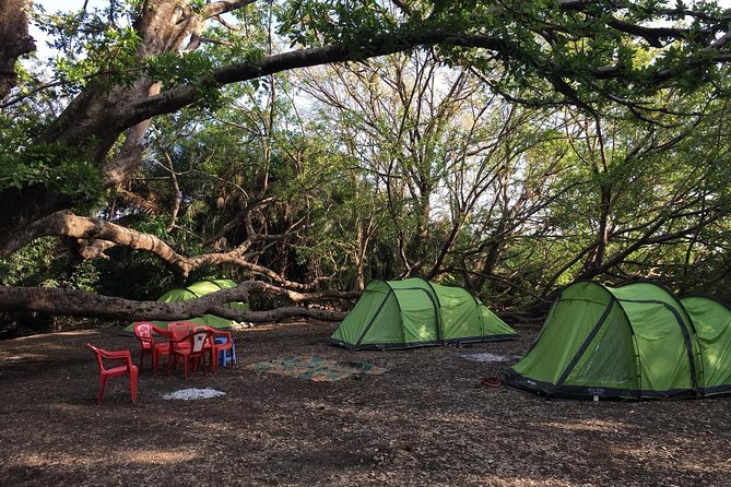 Amazing Chemka (Kikuletwa) Hot Spring Day Trip | BURIGI CHATO SAFARIS CO LTD - Barbecue lunch beneath the trees