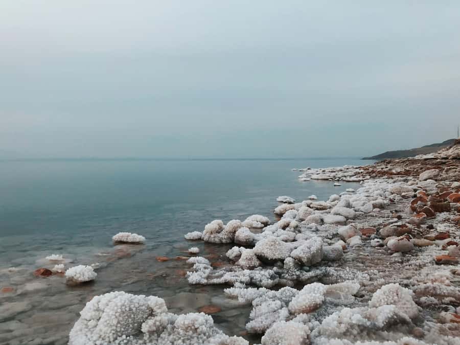 Amman: Ma'in Hot Springs and Dead Sea Day Trip - Price, Entry Fees, and Overall Value