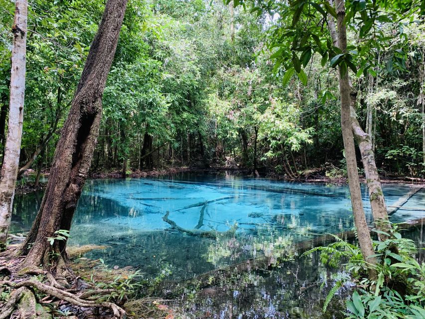 Ao Nang: Hot Spring, Emerald Pool & Tiger Cave Temple Tour - A generous Thai lunch between the nature stops