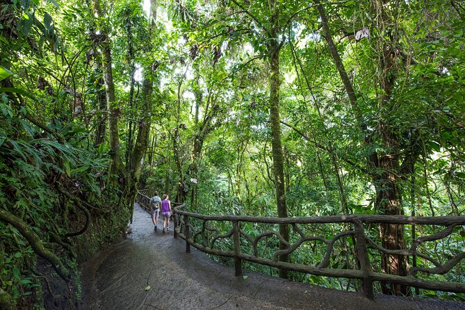 Arenal Hanging Bridges, Guided Walk, Hot Springs Optional - Why the hanging bridges are worth your time
