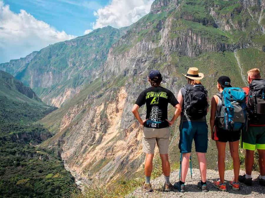 Arequipa: 1-Day Colca Canyon + Thermal Baths Tour - Who should book this Colca Canyon tour?