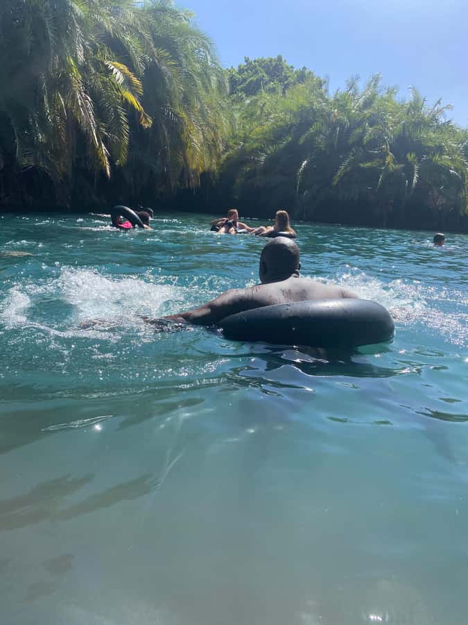 Arusha: Kikuletwa Hot Springs Day Trip with Transport - What the three-hour spring stop is really like