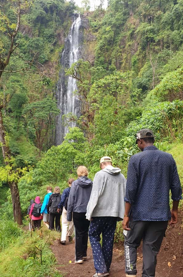 Arusha: Materuni Waterfalls, Hot Springs and/or Coffee Tour - Why this day trip works so well