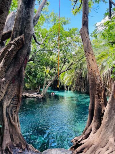 Materuni Waterfalls, Hot Springs and/or Coffee Tour