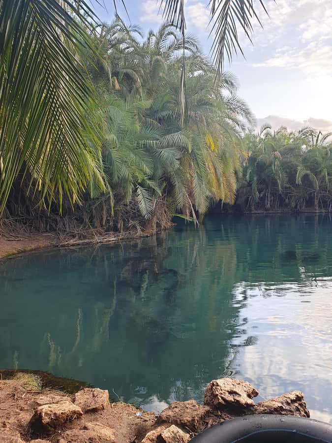 Arusha: Materuni Waterfalls, Hot Springs and/or Coffee Tour - A local lunch, not a hotel buffet