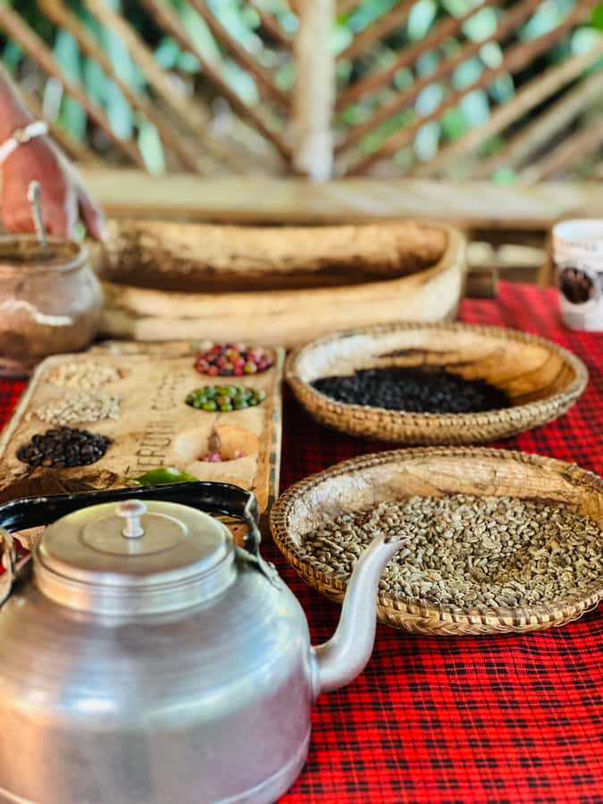 Arusha: Materuni Waterfalls, Hot Springs and/or Coffee Tour - How much value do you get for $53?