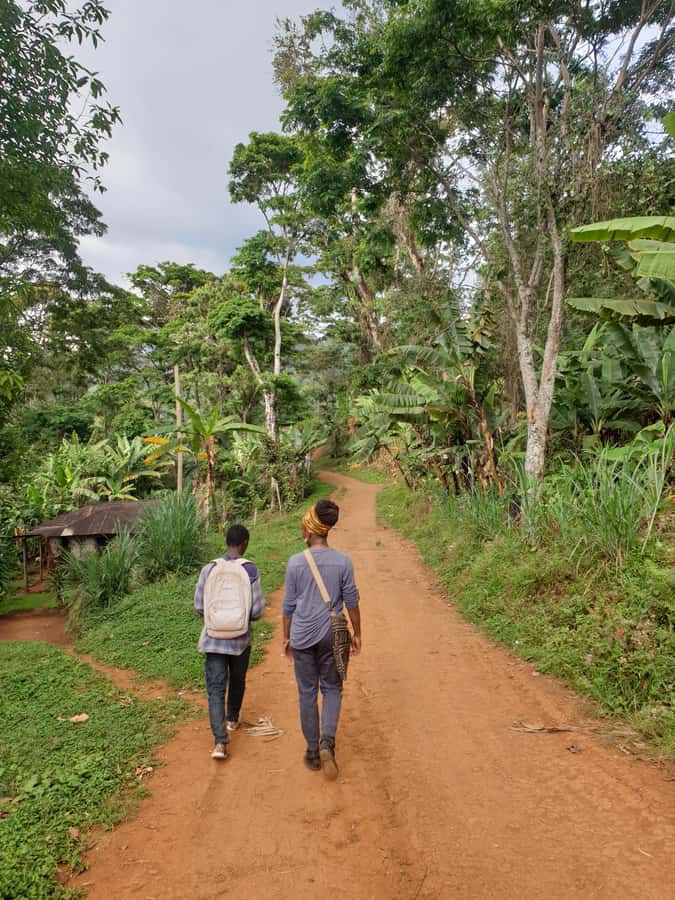 Arusha: Materuni Waterfalls, Hot Springs and/or Coffee Tour - Who should book this experience?