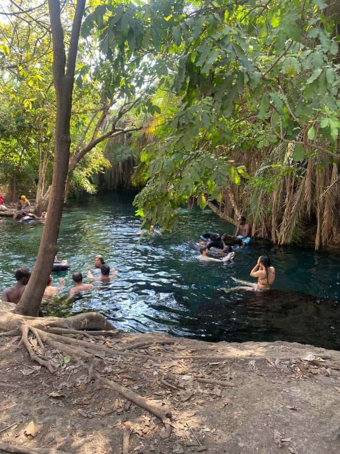 Arusha/Moshi Hot Springs Tour (Chemka) by Kingstone Asilia - Two and a half hours to swim, rest, and take photographs