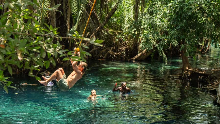 Arusha or Moshi : Hot Spring, Waterfall & Coffee Farm Tour - Key points to know before booking