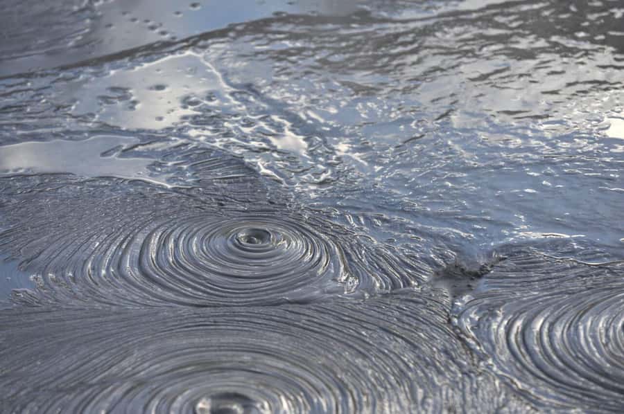 Auckland: Full-Day Trip to Rotorua Geothermal Valley - Key points to know before booking