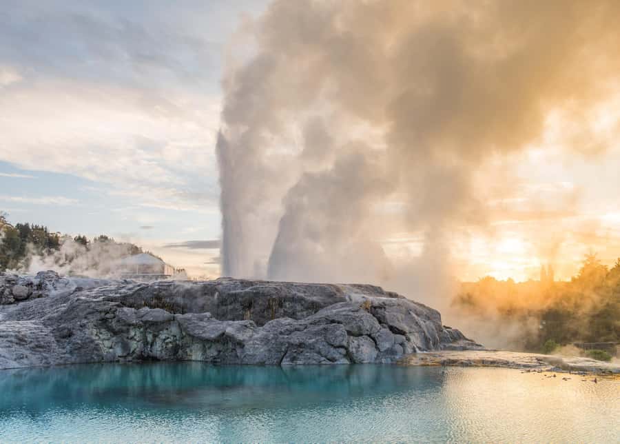 Auckland: Full-Day Trip to Rotorua Geothermal Valley - The kiwi house: a useful correction to the wording