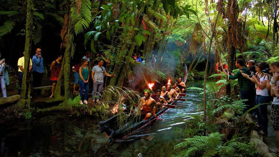 Auckland: Rotorua Māori Cultural & Geothermal Tour & Lunch - Should you book the Auckland to Rotorua day trip?