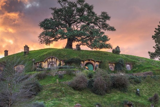 Auckland to Hobbiton Movie Set and Rotorua's Geothermal Valley - Should you book the Auckland to Hobbiton and Te Puia tour?