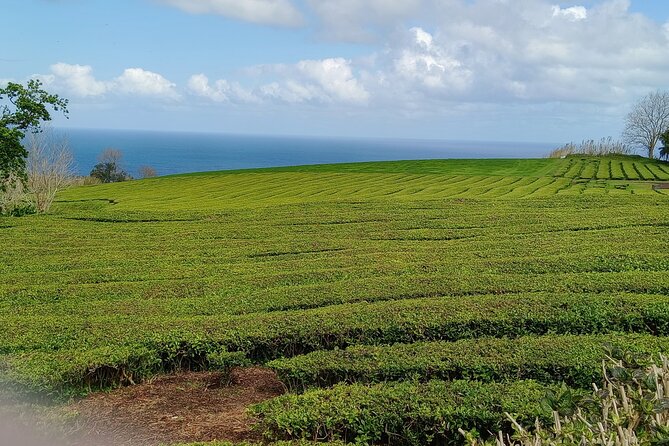 Azores: 1 Day Private Tour Furnas Volcanic Activity & Hot Springs - Lagoa das Furnas and the underground lunch