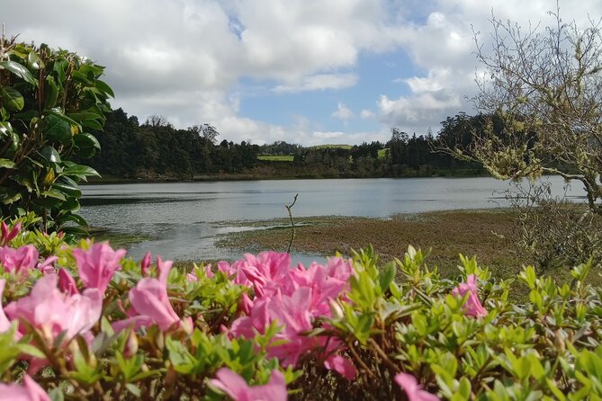 Azores: 1 Day Private Tour Furnas Volcanic Activity & Hot Springs - Vila Franca do Campo and Queijadas da Vila