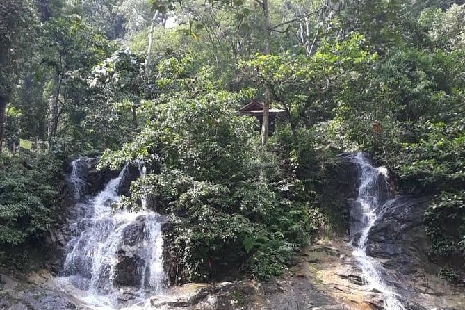 Back to Nature Tour - Templer's Park, Hot Spring & Batu Caves - Why this short private tour works