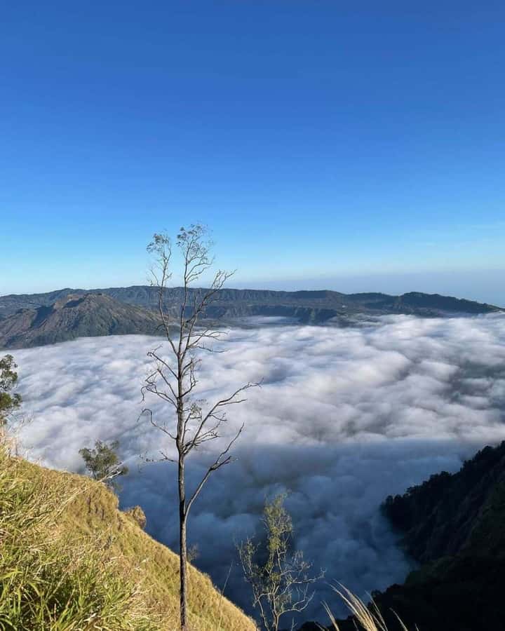 Bali: Caldera Sunrise Trek and Natural Hot Spring - Breakfast, ginger tea, and a small service warning