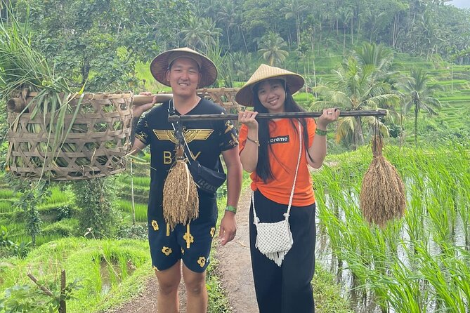 Bali Swing Hot Spring And Waterfall Private Guided Tour - Mount Batur and the highland change of scene