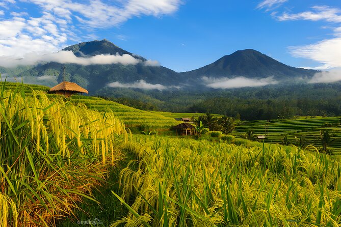 Bali Tour: Lake, Iconic Gate, Temple, Hot Spring and Rice Terrace - Key things to know before booking