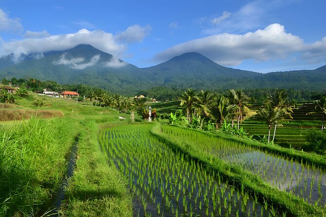 Bali Tour: Lake, Iconic Gate, Temple, Hot Spring and Rice Terrace - Ulun Danu Beratan: a temple on the water