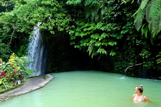 Bali Tour: Lake, Iconic Gate, Temple, Hot Spring and Rice Terrace - What the $80 price really covers
