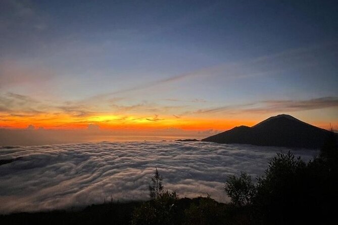 Bali Trekking Tour: Mount Batur Sunrise & Natural Hot Spring - The coffee plantation stop on the way back