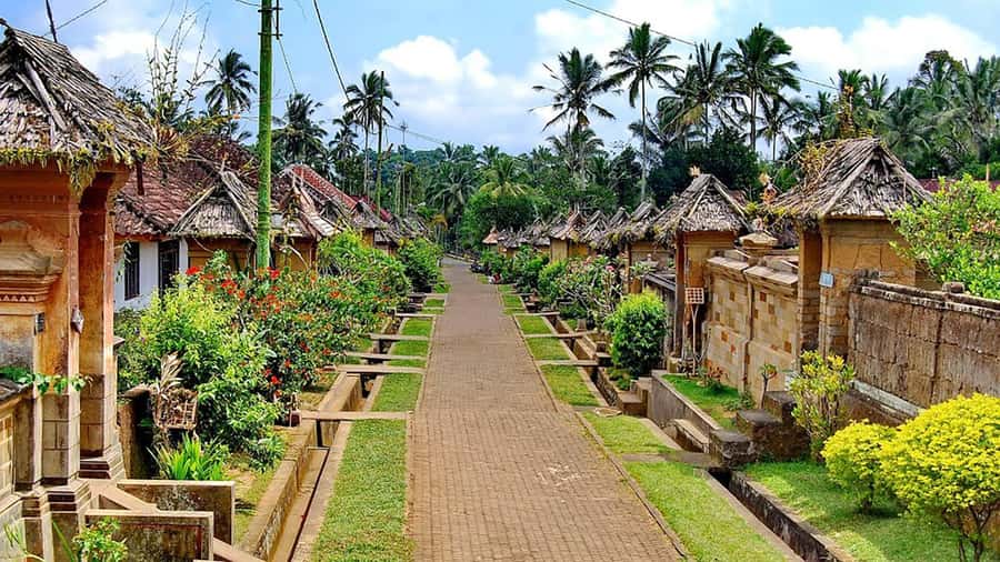Bali: Trunyan Cemetery, Hot Springs, and Penglipuran Village - Who should book this experience?