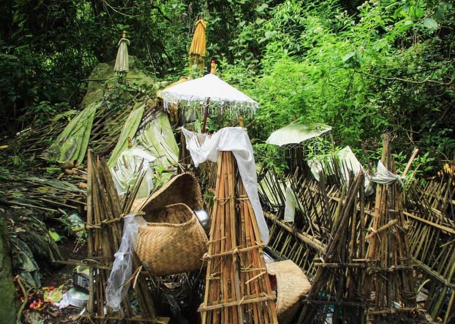 Bali: Trunyan Cemetery, Hot Springs, and Penglipuran Village - Why this Bali day feels different