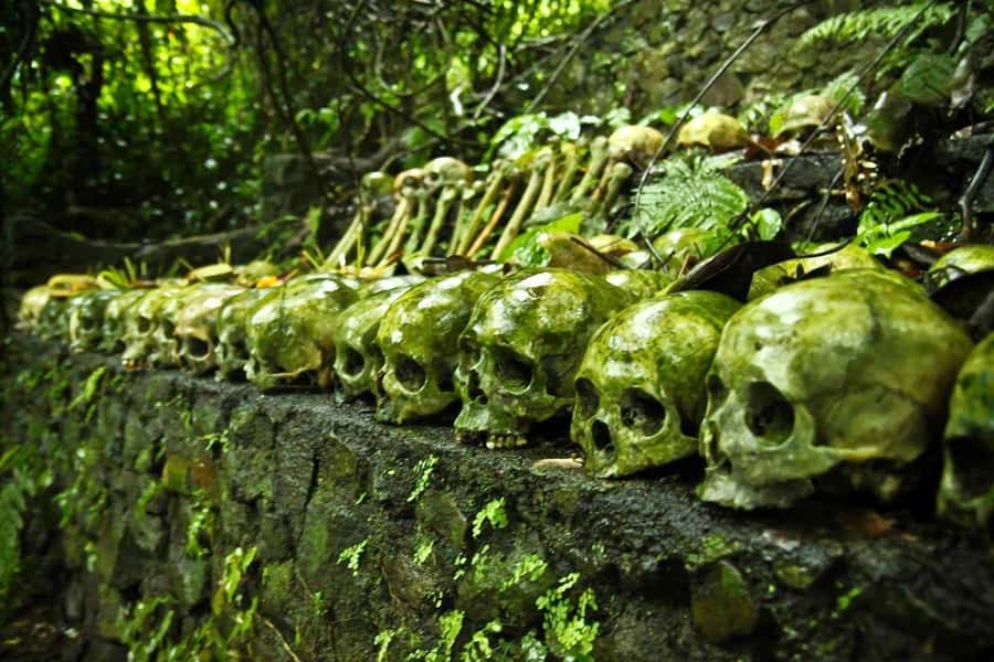 Bali: Trunyan Cemetery, Hot Springs, and Penglipuran Village - Batur Natural Hot Spring and Lake views