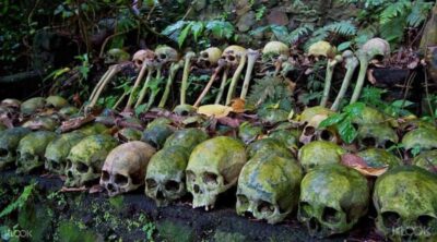 Trunyan Cemetery, Hot Springs, and Penglipuran Village