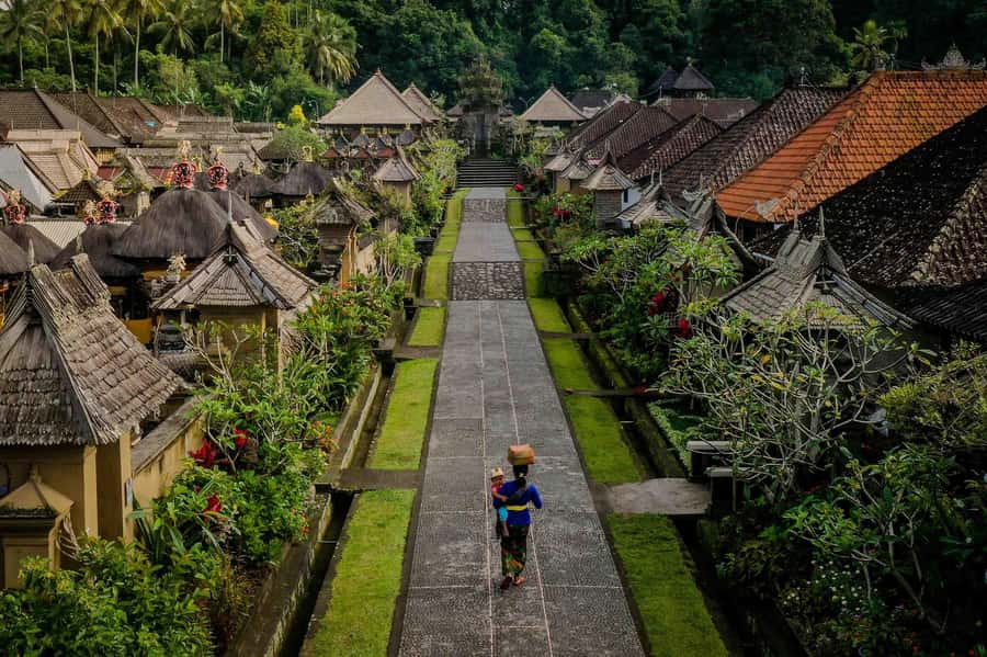 Bali: Trunyan Cemetery, Hot Springs, and Penglipuran Village - Penglipuran Village and its shared design