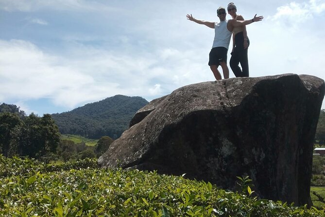 Bandung Tour All In, White Crater, Volcano Mountain, Hot Spring - Strawberry picking adds a local farm stop